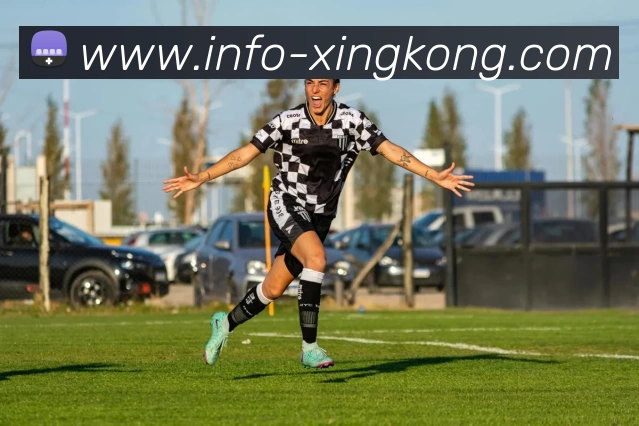 星空体育发展历程